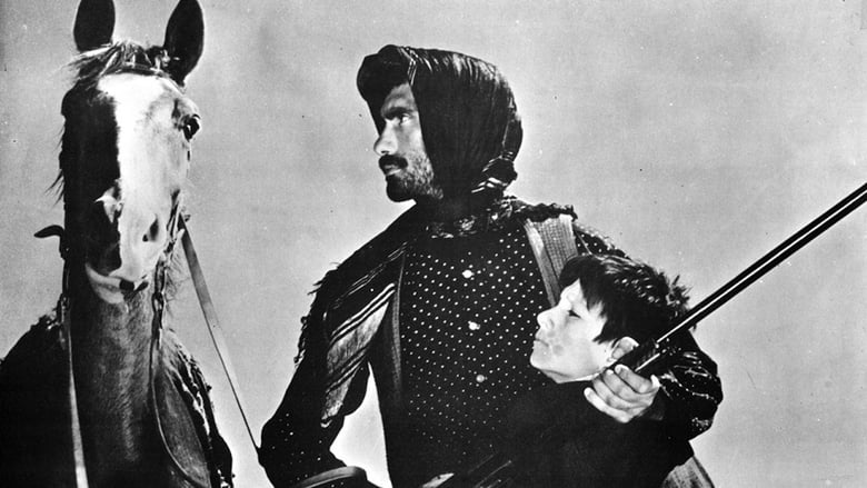 Law of the Border Law of the Border