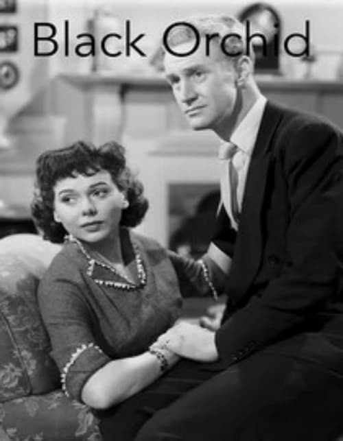 Black Orchid Black Orchid