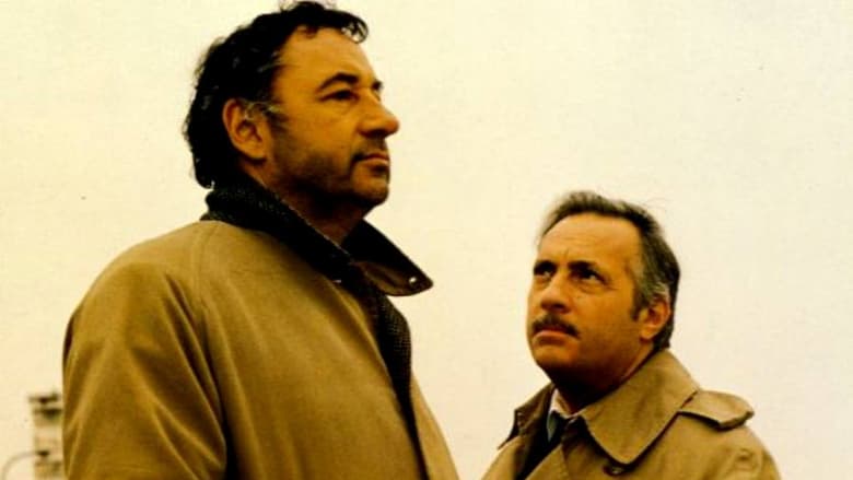 Heads or Tails Heads or Tails